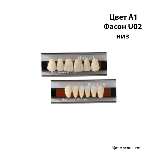 Зубы Basic 6 цвет A1 фасон U02 низ купить